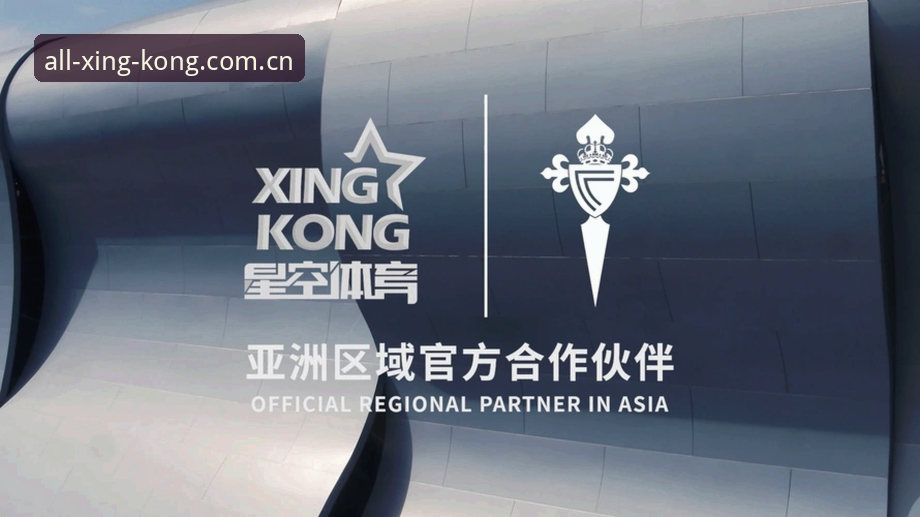 星空体育综合老用户经验：网页登录遇阻的7个排查方向与3个备用通道